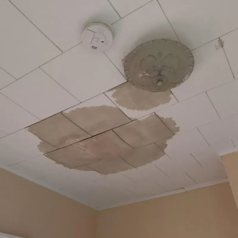 Ceiling Water Damage Repair in Marthasville, MO