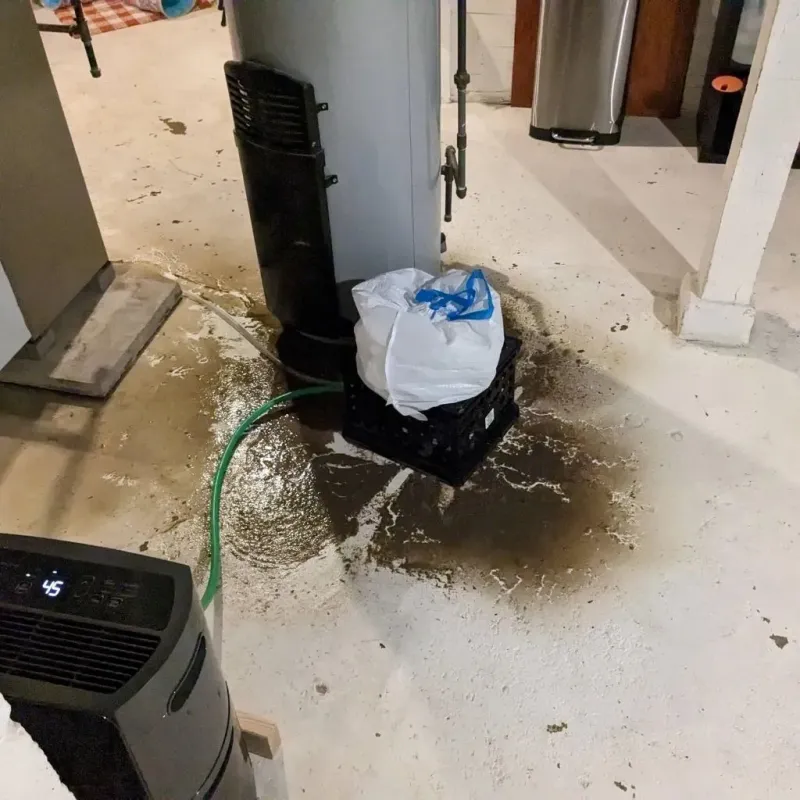 Sewage Backup Cleanup Service in Marthasville, MO